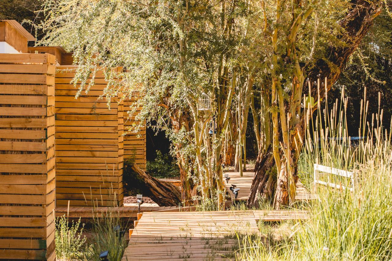 Lodge Quelana San Pedro De Atacama Zewnętrze zdjęcie